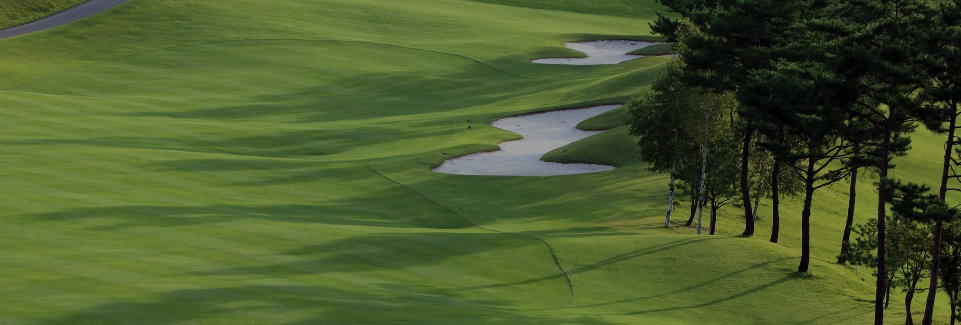 golf course fairway